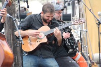Guitariste sur le festival de Loire 2013