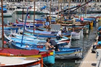 photo Pointus sur le port de Nice - 4