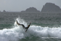 Surf en bretagne - La Palue (29) - 42