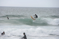 Surf en bretagne - La Palue (29) - 4