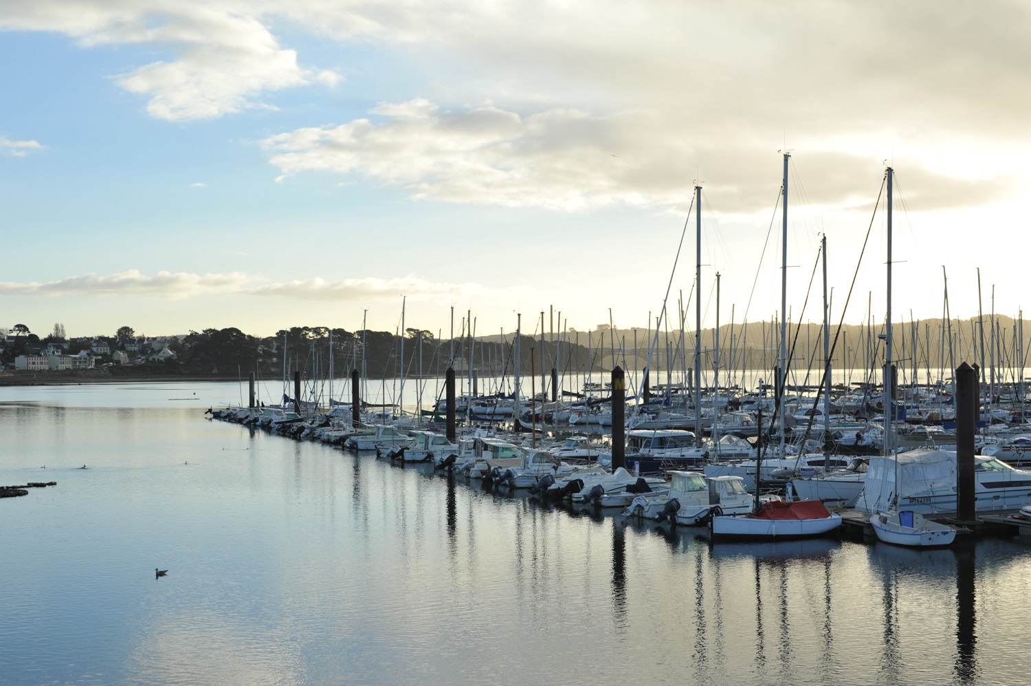 Port Brest Le Moulin Blanc (29) Informations maritimes sur le port