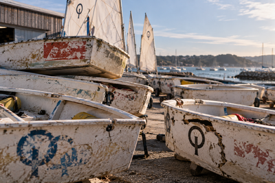 Collecte APER automne 2026 | Actualit�s