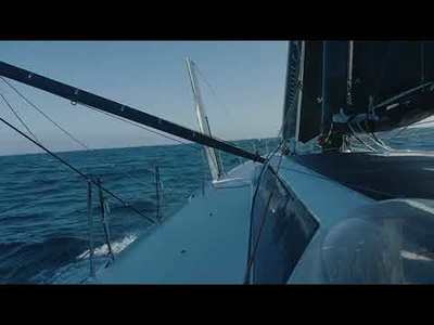 Petit soucis de safran � bord de Caf� Joyeux 