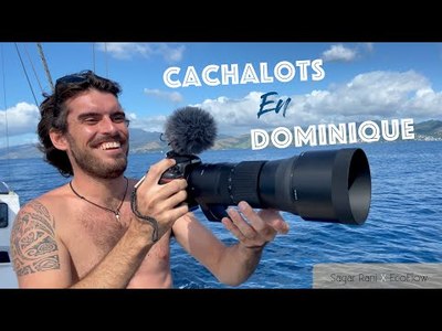 L’odyssée de sagar rani | Bateaux.com