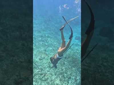 Lauren landers Bateaux