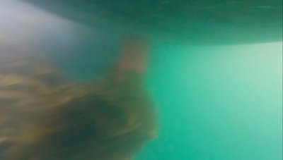 Ronnie Simpson oblig de plonger sous le bateau pour liminer les algues - Global Solo Challenge