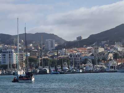 Pépins en série pour Antoine de Malleray