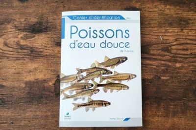 Le cahier d'identification des poissons d'eau douce de France