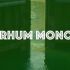 Classe Rhum Mono