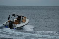 SharkBoat 69